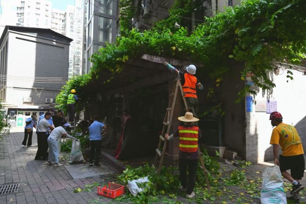 路易泽 携手共筑造“两热”防线，荔湾持续开展爱国卫生运动统一行动