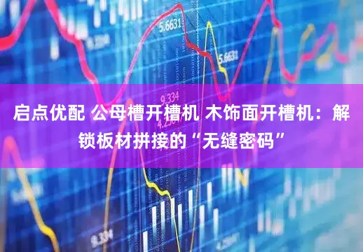 启点优配 公母槽开槽机 木饰面开槽机：解锁板材拼接的“无缝密码”