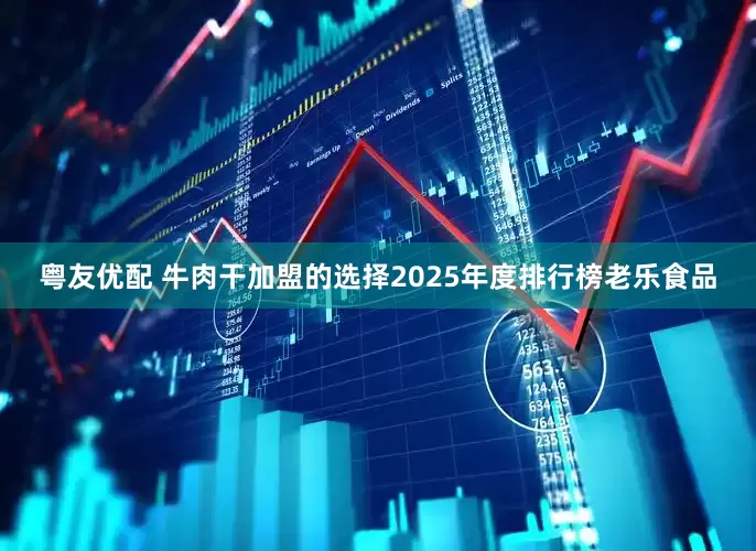 粤友优配 牛肉干加盟的选择2025年度排行榜老乐食品